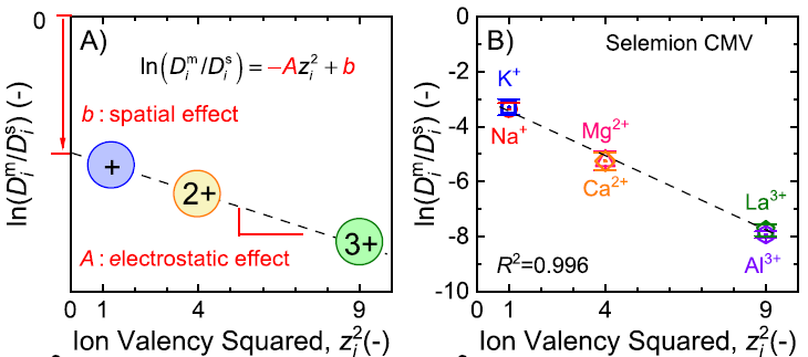 Counterion diffusivity vs ion valency squared in ion-exchange membranes
