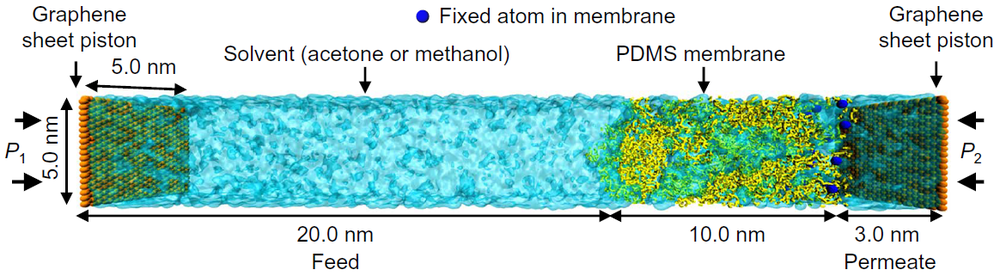 NEMD simulation box of solvent flow across a PDMS membrane